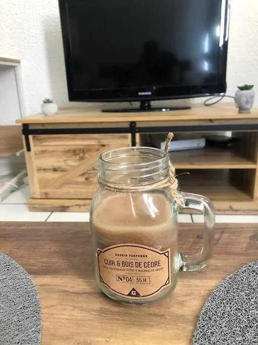 Apartment « Le Petit Bastille»Proche Lyon Centre Villeurbanne France